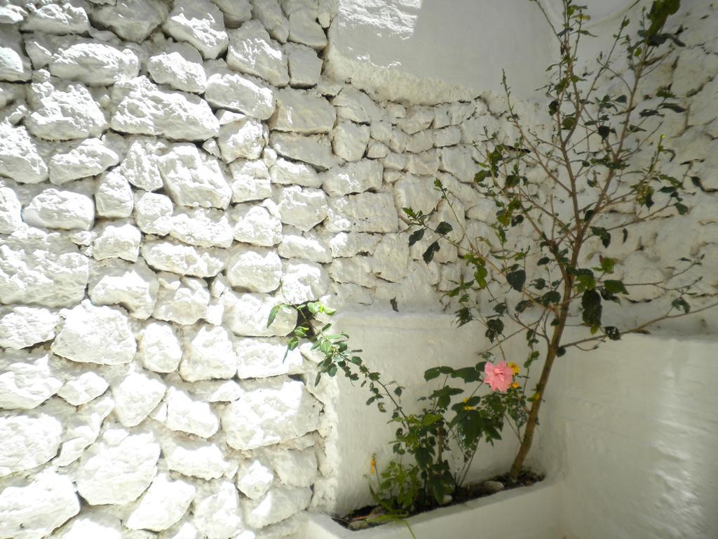 Kostas Studios Vasilikí Exterior foto